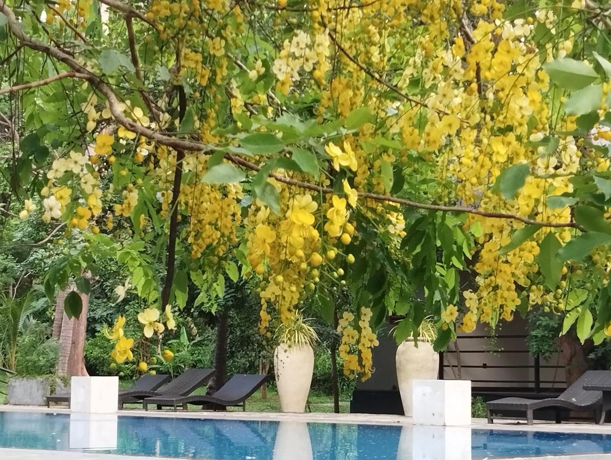 Athena Lake By Seedevi Dambulla Exterior foto