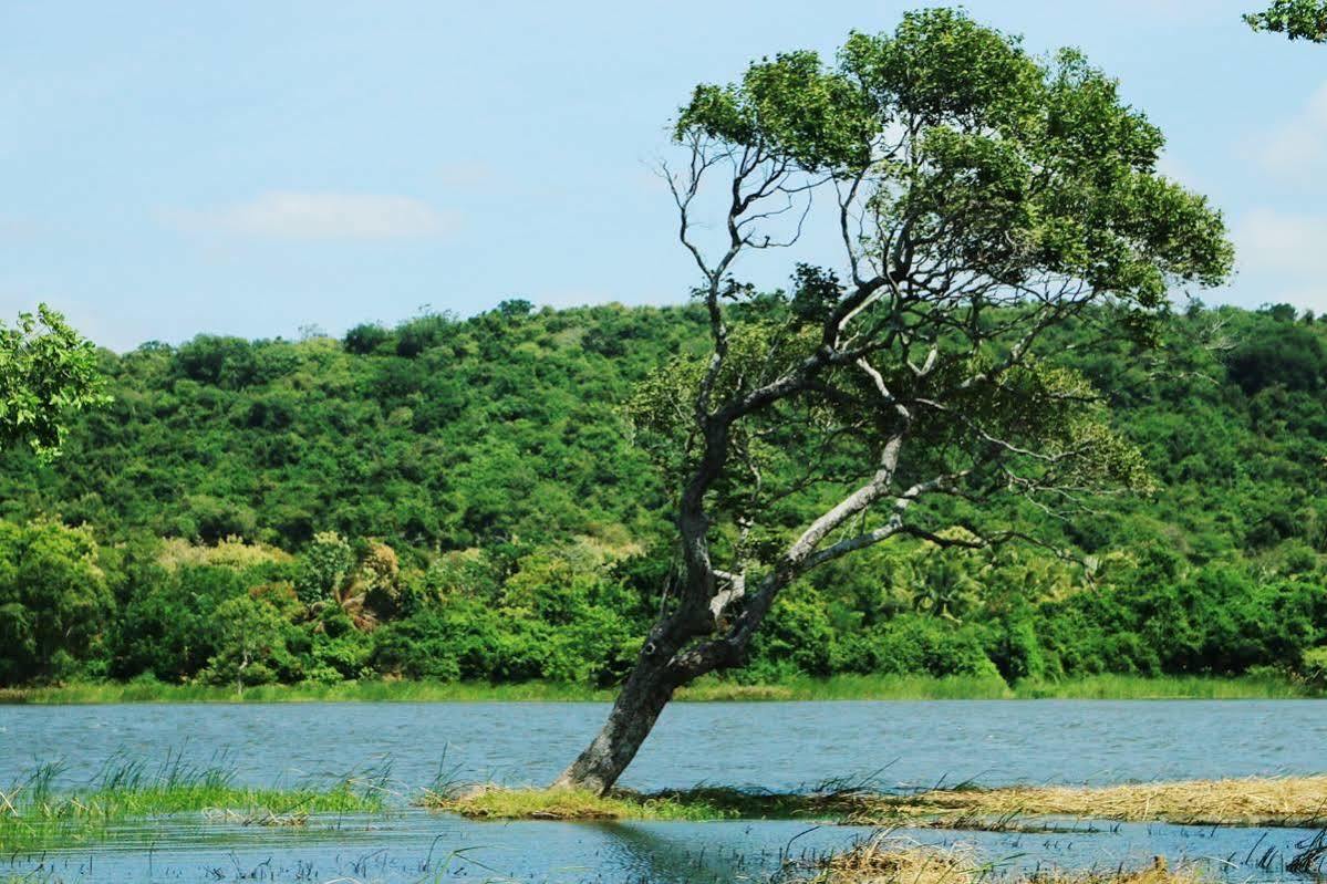 Athena Lake By Seedevi Dambulla Exterior foto